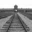 Campo Auschwitz Birkenau