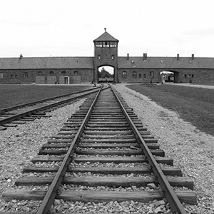 Campo Auschwitz-Birkenau